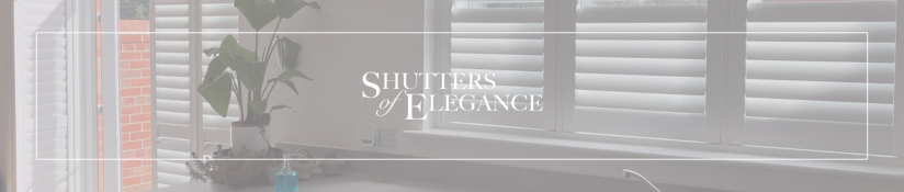 Sustainable plantation shutters in an eco-friendly home